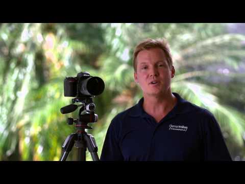 Video thumbnail for Tokina ATX-i 100 mm f/2.8 1:1 Macro review 2