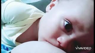 Download lagu Amamentando  meu bebê mp3