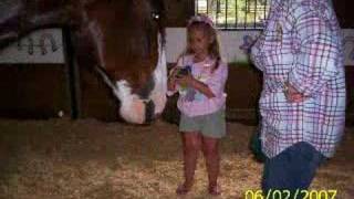 Tracey&#39;s thank you video