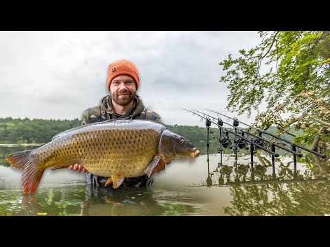 20 kilos+ and NEW PB 🐋 | Carp fishing at the natural lake