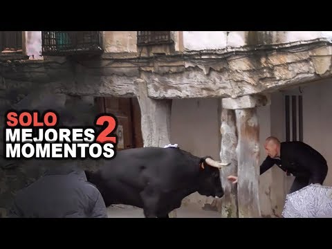 Toros Bravos Mejores Momentos 2