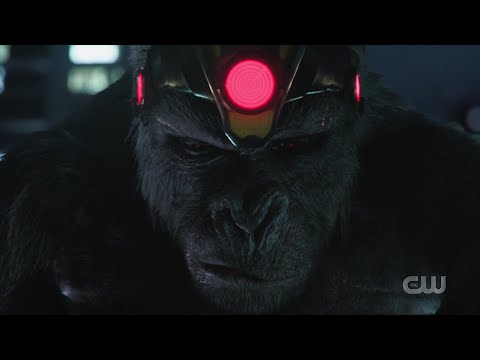 Flash vs Gorilla Grodd! The Flash s05e15!
