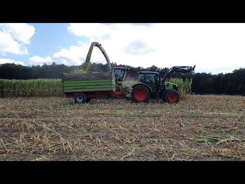 Maishäckseln 2019 mit Claas Jaguar 950 und John Deere, Claas, und Fiat