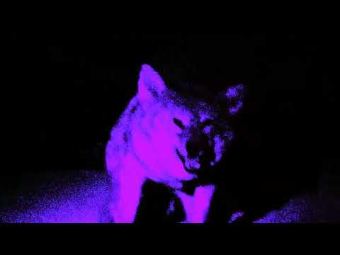 Tommy Richman - seems like time moves forever. (with mynameisntjmack) (Official Visualizer)