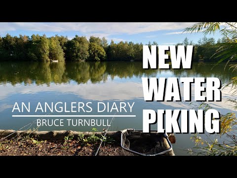 An Anglers Diary with A Moment in Time Channel - Chapter 88 - Pike Fishing