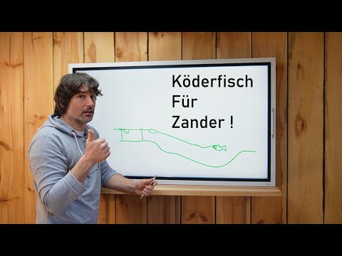 THIS is how you catch zander with a KÖFI!