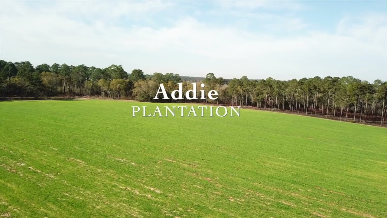 Addie Plantation