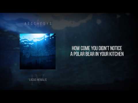 Aesthesys - How Come You Didn't Notice A Polar Bear In Your Kitchen