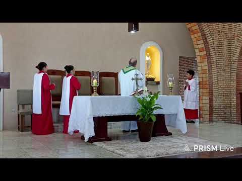 17° Domingo do Tempo Comum | Missa do dia- 26/07/2026