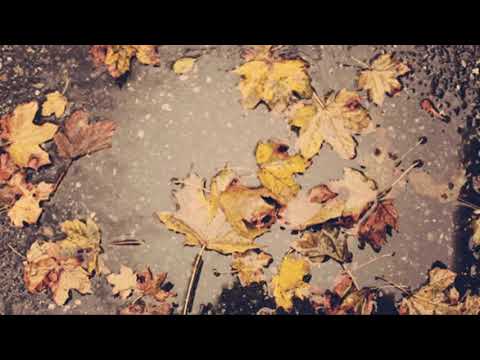 Gildia Małpich Wzgórz - Jesienniak (prod. Nasty Peach)