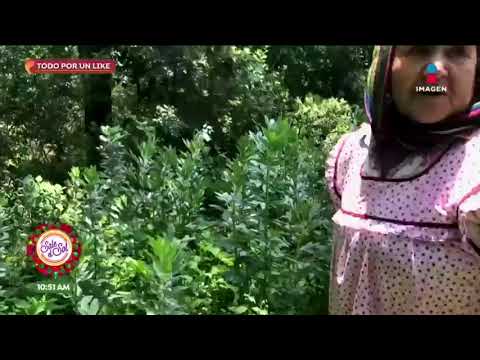 Doña Ángela y su exitoso canal 'De mi rancho a tu cocina'