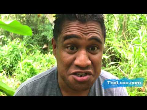 ToaLuau cooking taro