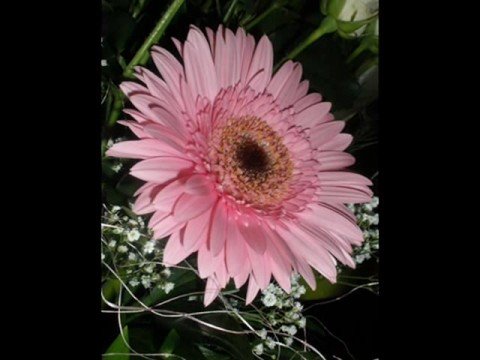 Miki Jevremovic - Izaberi oblak