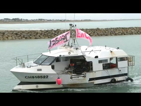 Post-Brexit fishing: French fishermen return to Barneville-Carteret port | AFP