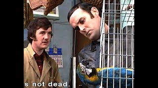 02  Petshop, Dead Parrot   Monty Python&#39;s Flying Circus