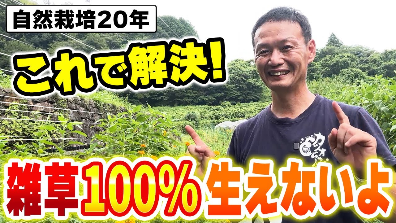 シートで雑草リセット!自然栽培の活用術