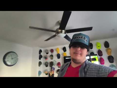 Why car painting is expensive!! How to protect yourself from fraud | Bieber