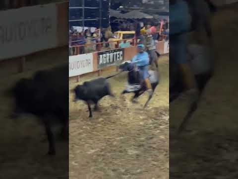 Jesus Aguilera "El General del Coleo" Camp. Master 2023