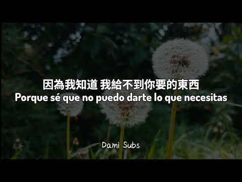 我是真的爱上你 I Really Fall In Love With You - Wang Jie 王杰 Dave Wong / Sub Espa&ntilde;ol