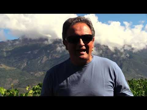 Commento al vangelo del 3 ottobre 2021