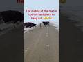 Cows blocking the road #milk #beef #cattle #roadsafety #funny #cowboys #countrymusic #automobile #nd