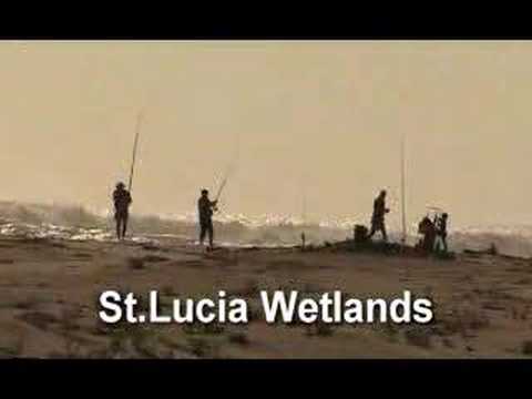 St.Lucia Wetlands Nature South Africa
