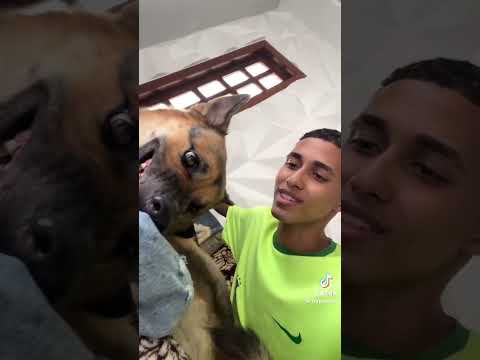 #safira #hype #tiktok