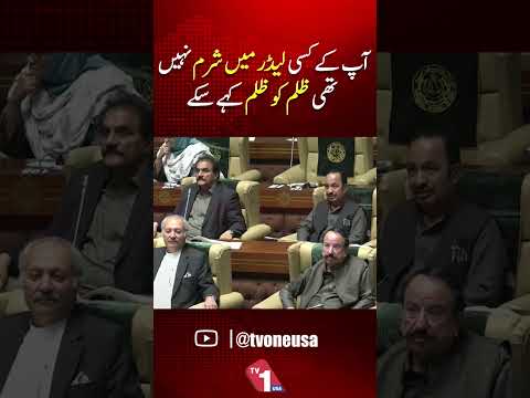 شرجیل میمن نے پی ٹی آئی کو کھری کھری سنادیں