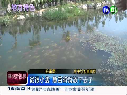 拍拍手鯉魚就來 巴轆公園奇觀!