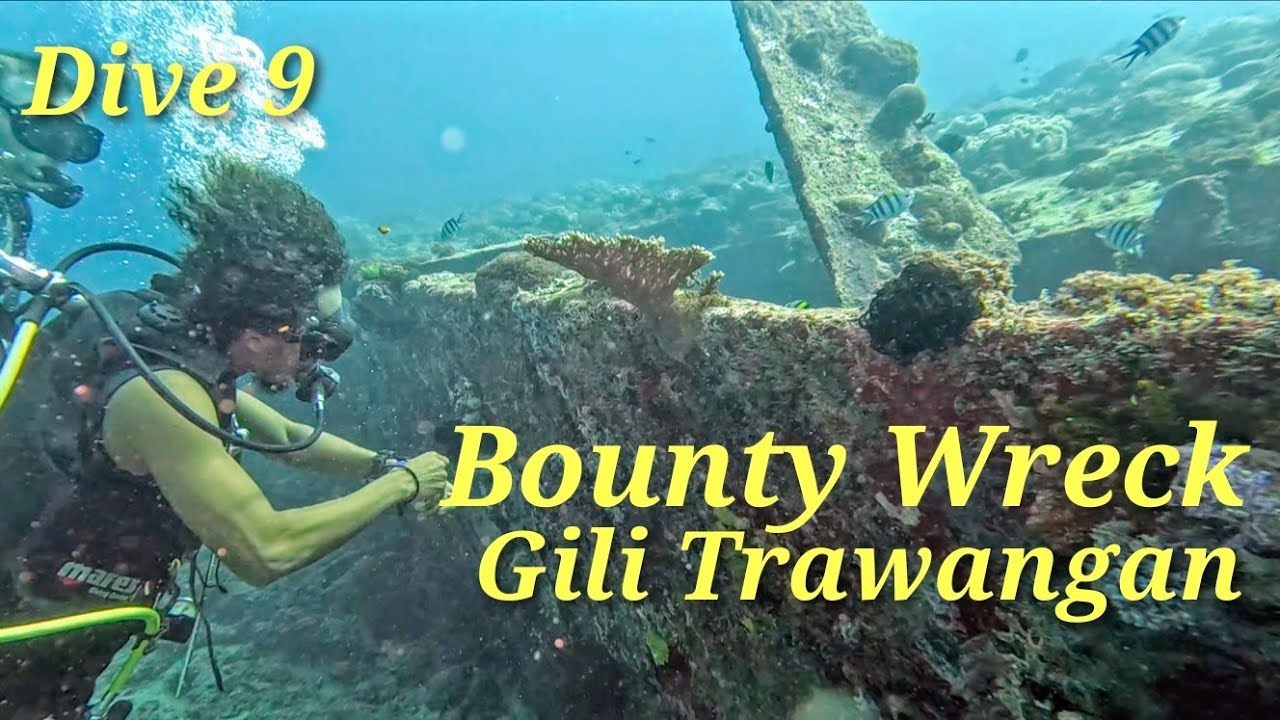 Dive into the captivating video of the Bounty Wreck!