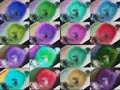 16 KlaskyKlaskyKlaskyKlasky Gummy Bear Song Version Colors