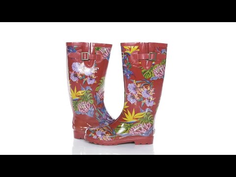anuschka rain boots