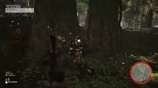 All-Star Legend Week Solo Challenge 1 - The Jungle Moved - Kill the Predator - Ghost Recon Wildlands
