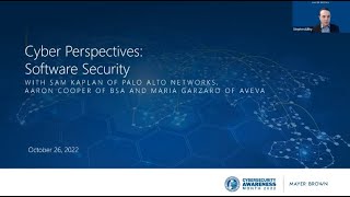 Cyber Perspectives: Software Security