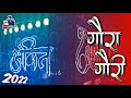 Gaura Gauri का जलवा है हर तरफ 🤩 Ankit Dhumal Balod - Diwali Special Dhumal video 2022