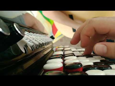 Bidê ou balde - Mesmo que Mude - intro Chromatic Accordion