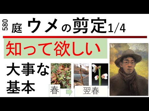梅の木の剪定はいつ、どのように行うのですか？知っておくべきことすべて、そしてそれ以上！  庭園