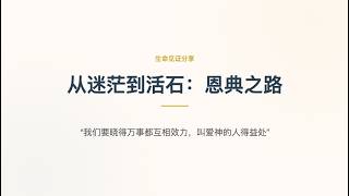 活出见证（三）- 从迷茫到活石:恩典之路；丰盛的生命 讲道封面