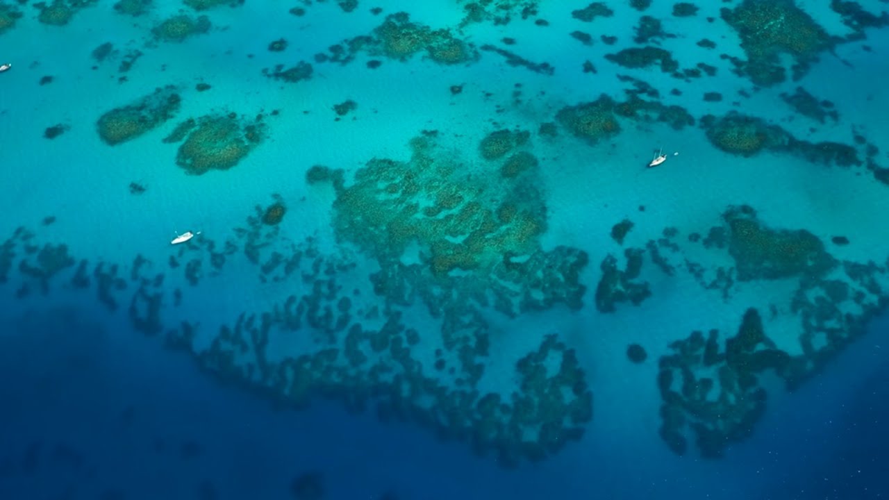 Management of Marine Protected Areas for Climate Change