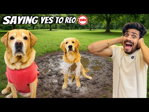 Saying Yes To Reo For 24 Hours | Leo se Ladai Hogyi | Anant Rastogi