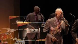 Amani - Straighten Up and Fly Right