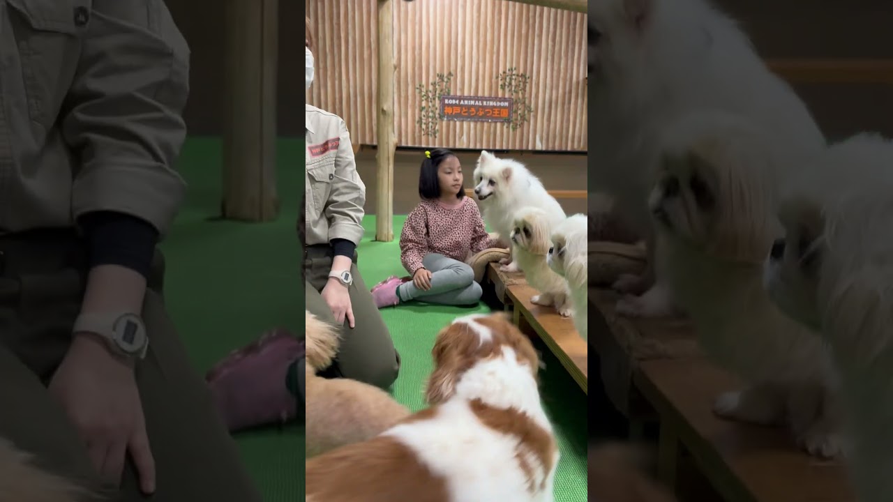 YouTube Short thumbnail