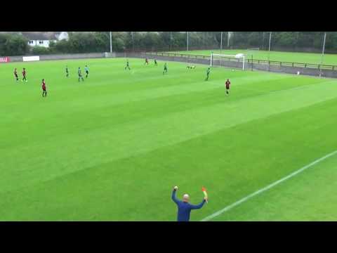 Nik Borowiec(2001) LW/LWB 2017/18