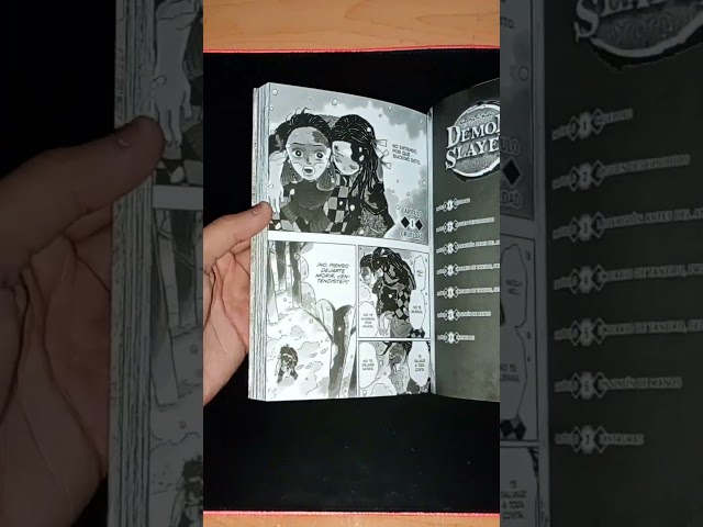 Vídeo relacionado con Demon Slayer - Kimetsu no Yaiba 1-8 mit Sammelschuber