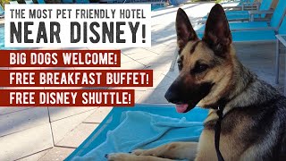 The Most Pet Friendly Hotel Near Disney | TownePlace Suites by Marriott Property Review & Tour