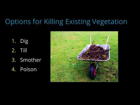 Breaking Ground to Create a New Garden Bed