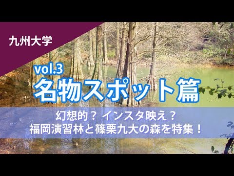 コンピュータ理工学科 【東進TV】九州大学の名物スポット 笹栗九大の森を特集！