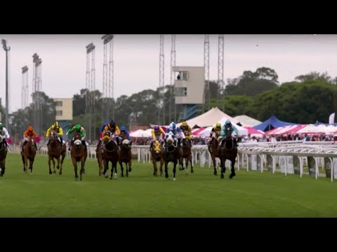 The Gauteng SANSUI Summer Cup: racing action
