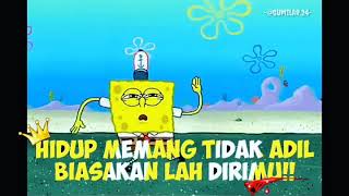 Download lagu Story wa keren-spongebob bukan kaleng kaleng mp3