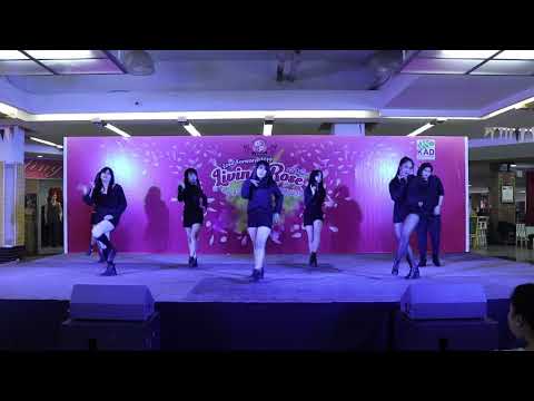 190323 ซีเรียส cover CLC - YokoAn's Love Forward 'Living Rose' 2019